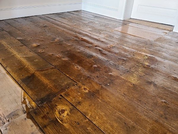 A wide plank floor carrying a fresh dark stain, the grain and knots showing through
