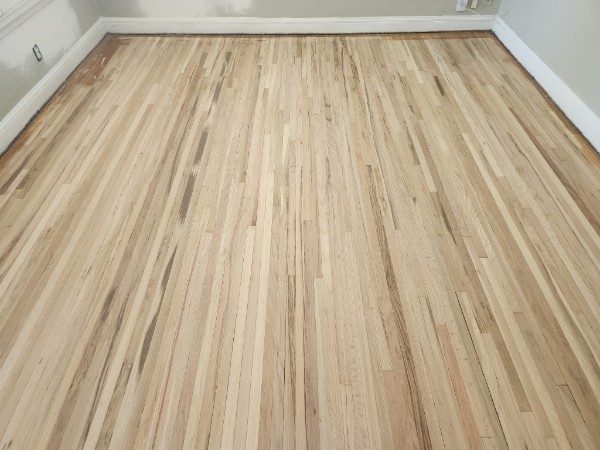 A red oak floor sanded back to clean bare wood, ready for stain